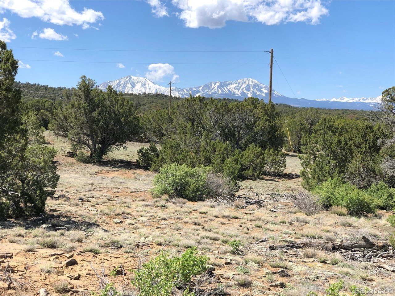 898 Rio Cucharas Phs 3 Walsenburg, CO 81089 - Photo 3 of 15 a view of a yard with a tree