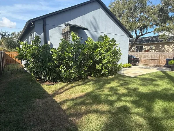 a backyard of a house with plants and large trees