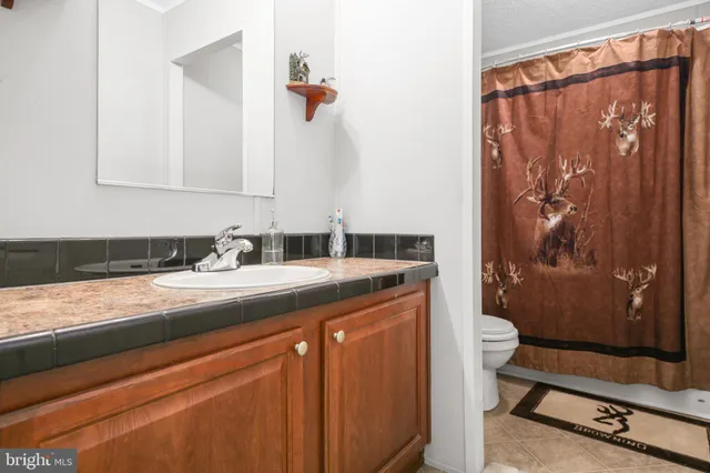 a bathroom with a granite countertop sink a mirror and a shower