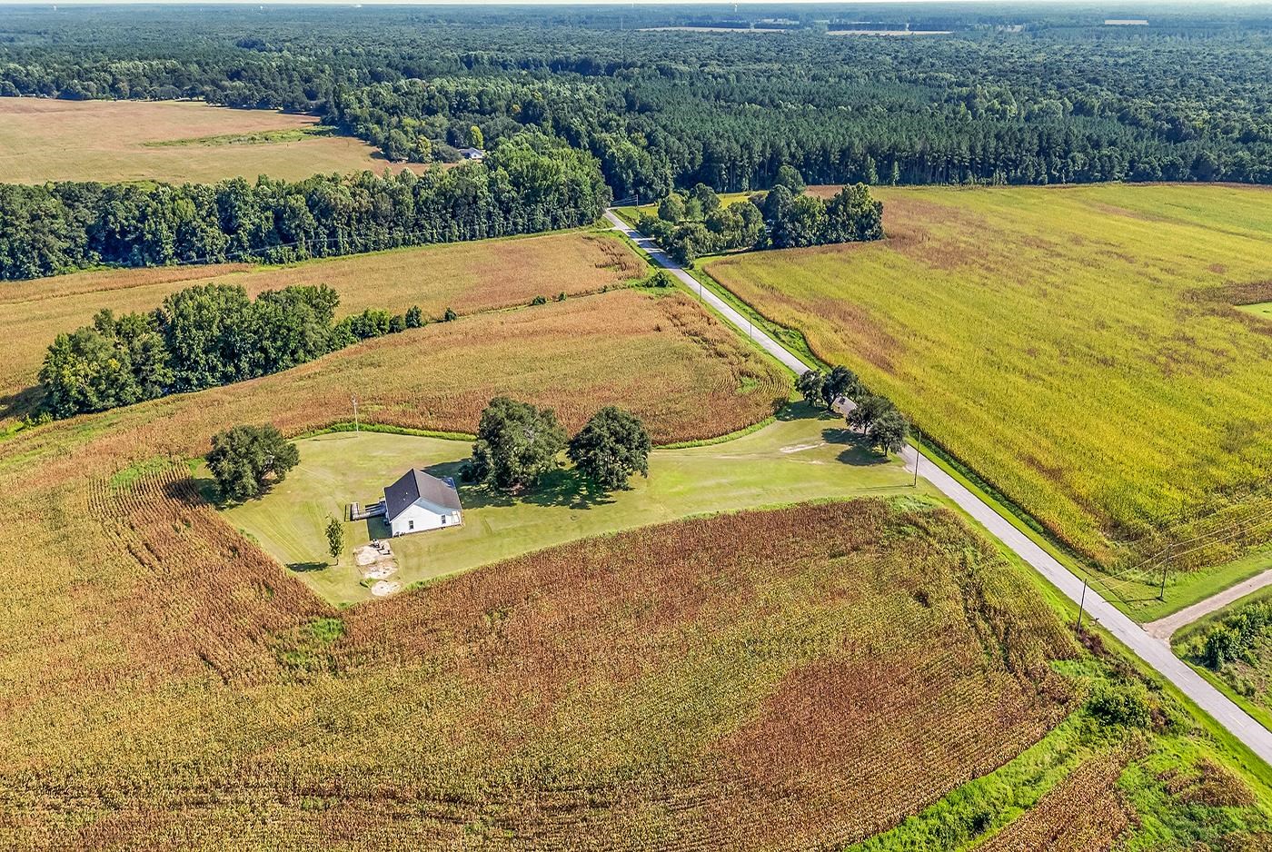 3568 State Rd S-14-401 Alcolu, SC 29001 - Photo 27 of 65 Gallery Image 27