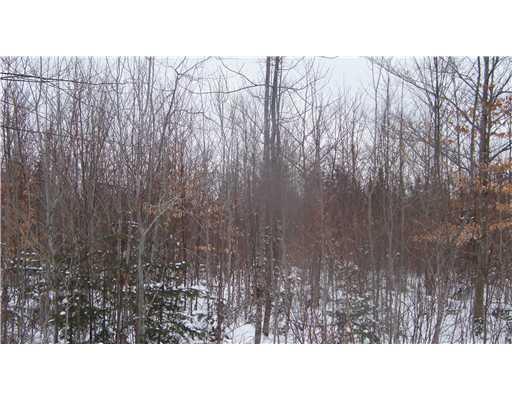 Lot #1 Morrison Road Houlton, ME 04730 - Photo 8 of 13 Exterior Front.