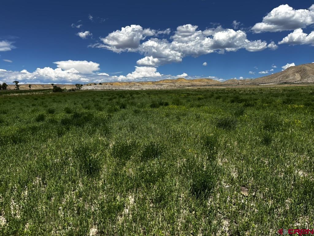 Tbd Racine Road Montrose, CO 81401 - Photo 2 of 21 Gallery Image 2
