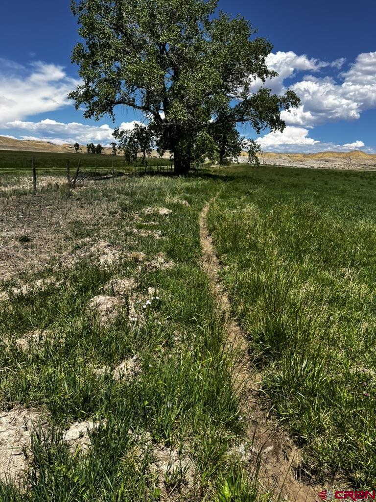 Tbd Racine Road Montrose, CO 81401 - Photo 9 of 21 Gallery Image 9