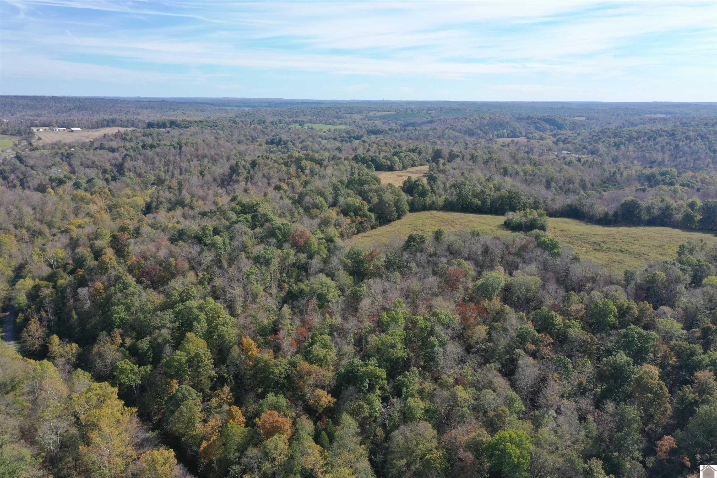 0 Princeton Olney Road, Unit FARM 3 Princeton, KY 42445 - Photo 1 of 9 Photo 1