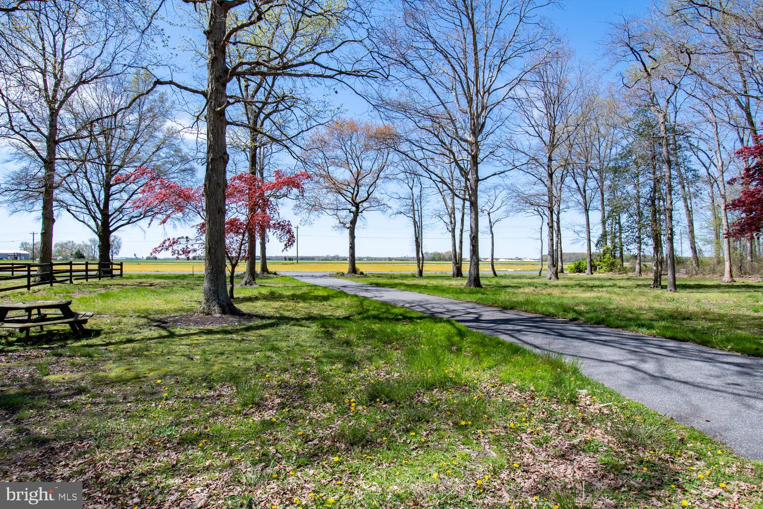 111 Ell Morris Road Henderson, MD 21640 - Photo 14 of 58 Gallery Image 14