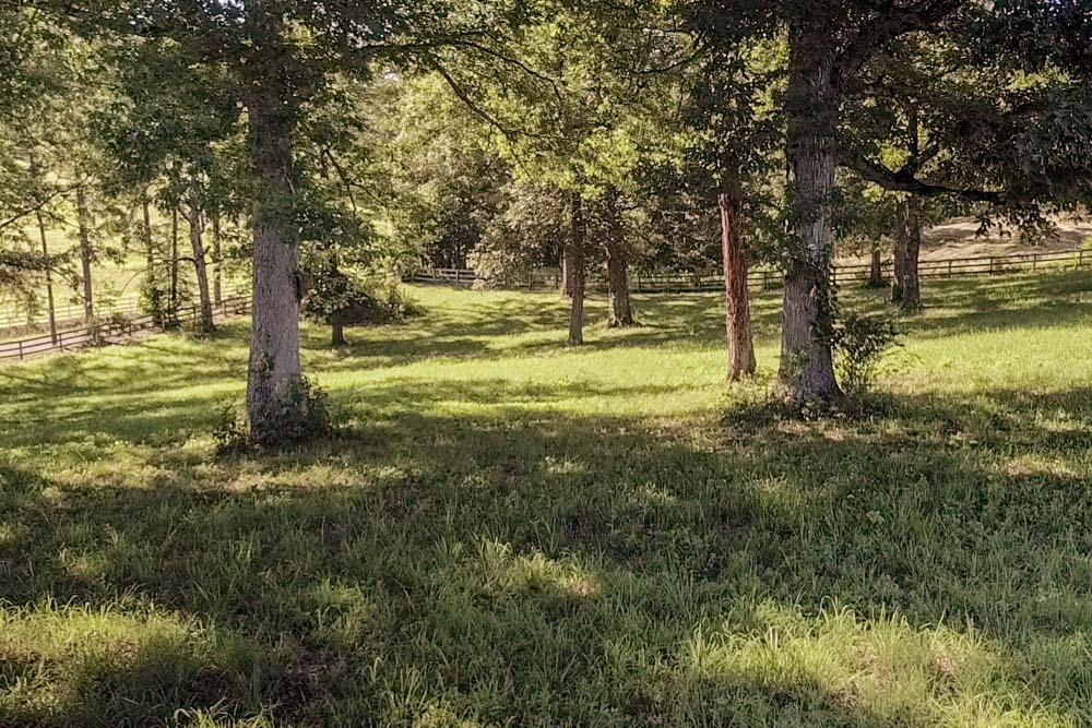 315 County Road 730 Riceville, TN 37370 - Photo 43 of 45 315_Co_Rd_730_43