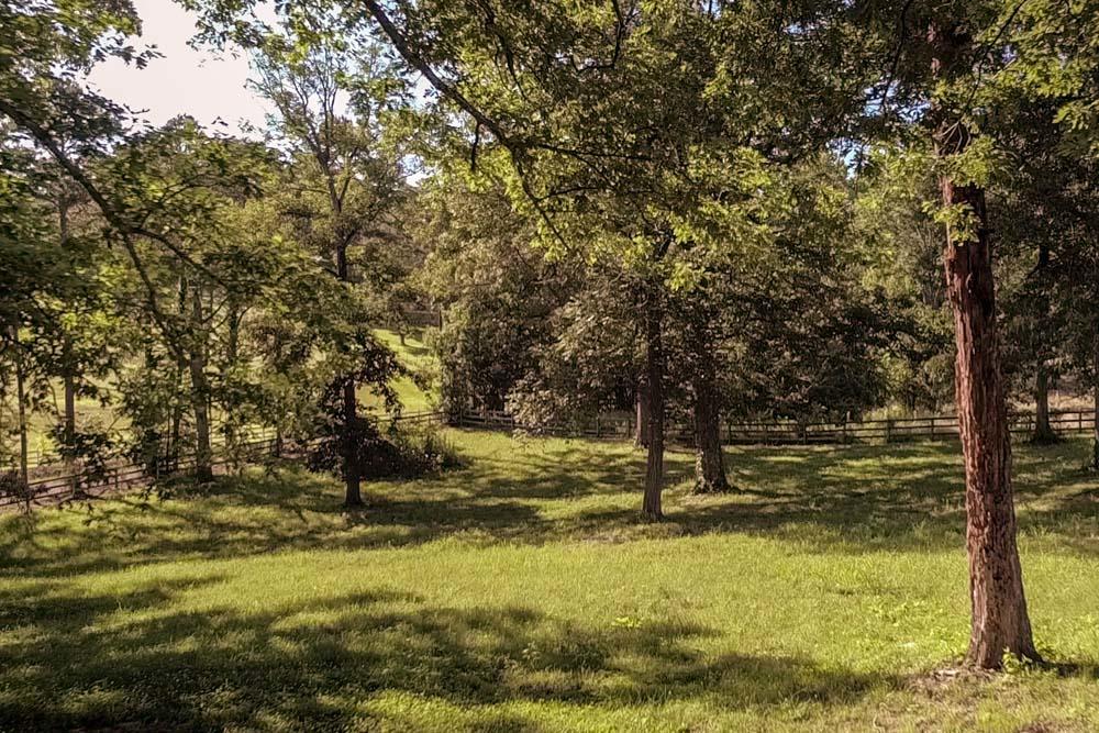 315 County Road 730 Riceville, TN 37370 - Photo 44 of 45 315_Co_Rd_730_44