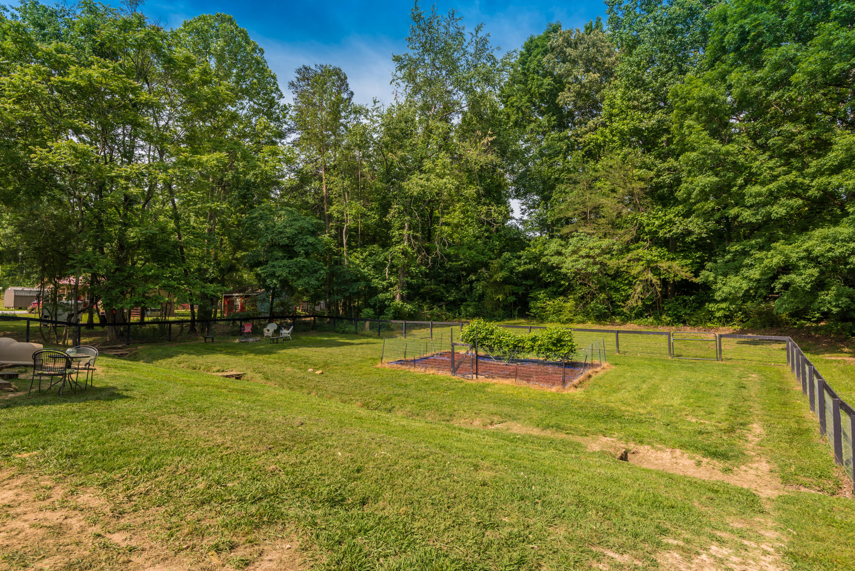 102 Stephens Road Madisonville, TN 37354 - Photo 38 of 39 Backyard