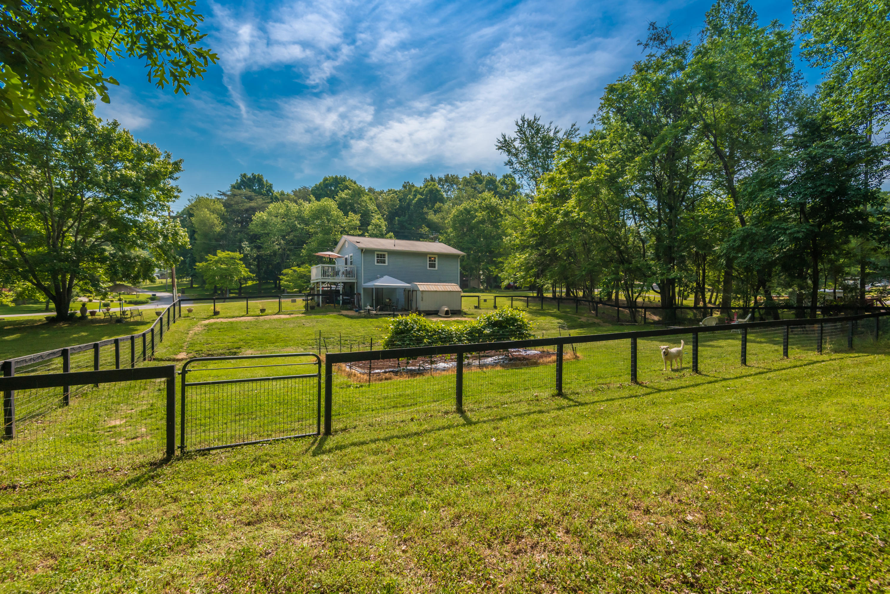 102 Stephens Road Madisonville, TN 37354 - Photo 6 of 39 Back Yard