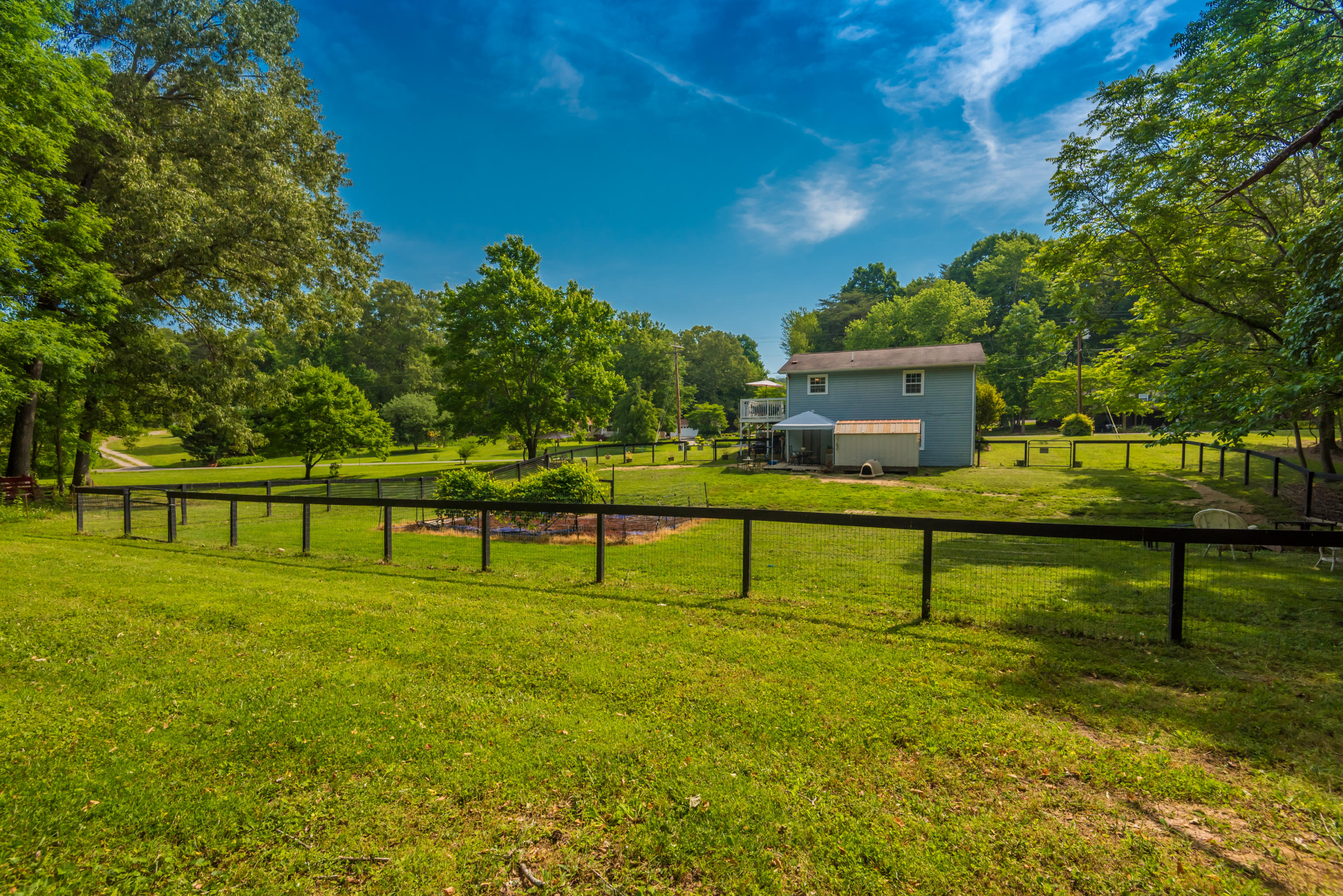 102 Stephens Road Madisonville, TN 37354 - Photo 8 of 39 Back Yard