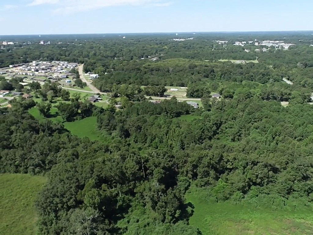 12.752-ac 12.752-ac Kinsey Rd/ Keel Road Dothan, AL 36301 - Photo 21 of 22