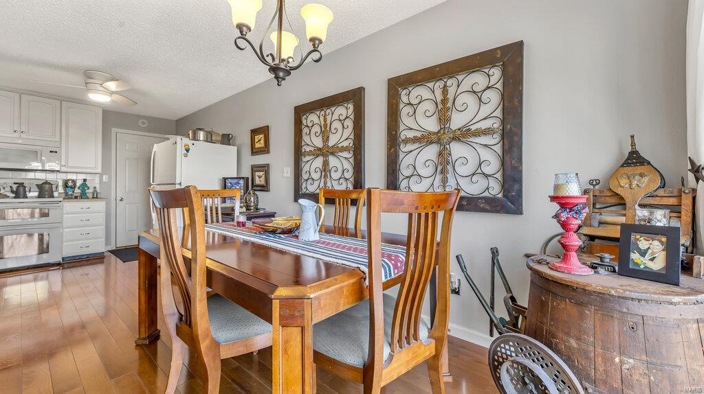 915 Alpine Ridge Drive Ballwin, MO 63021 - Photo 10 of 33 Gallery Image 10