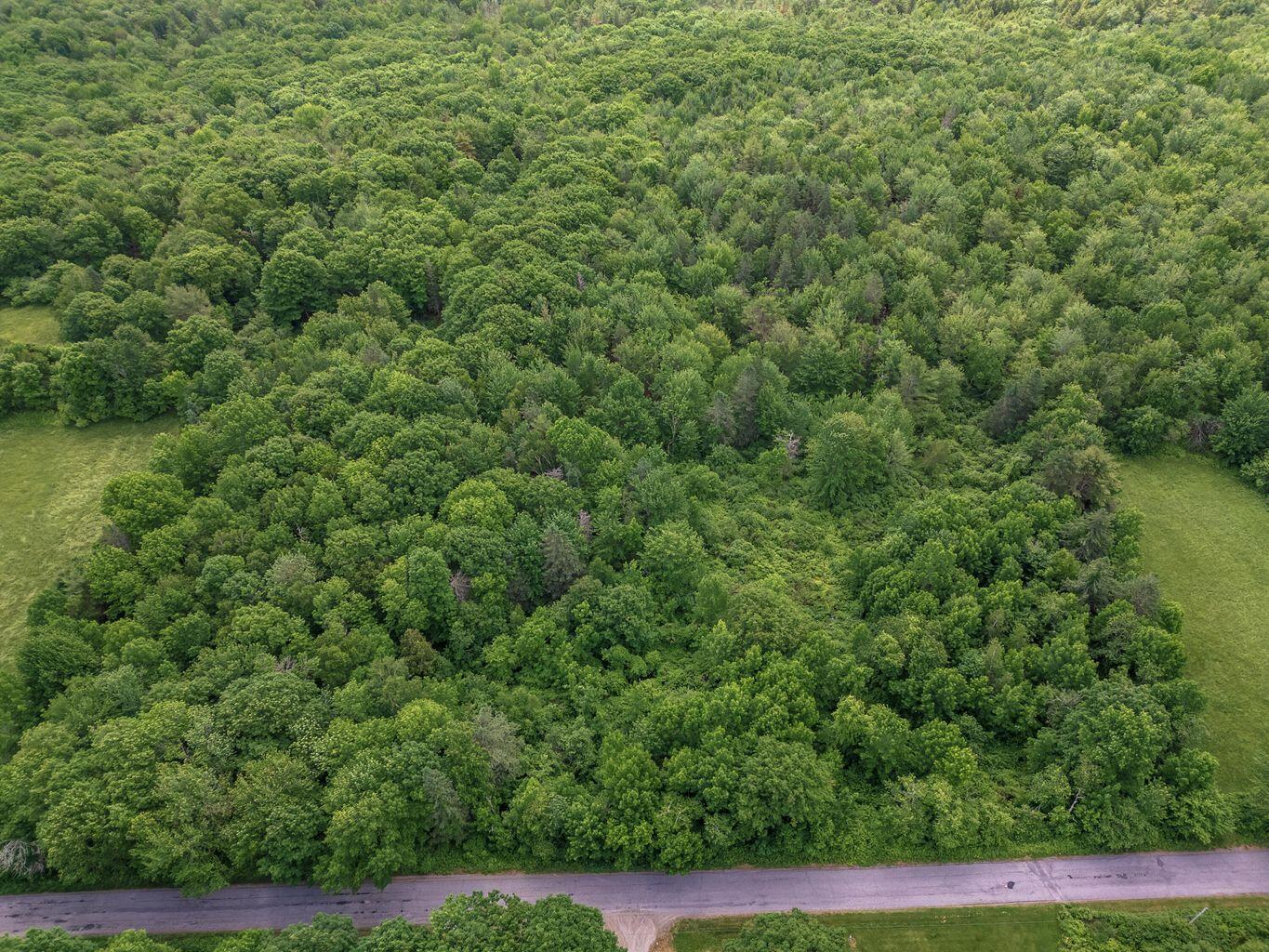 0 Appleton Ridge Road Appleton, ME 04862 - Photo 5 of 14 20240614011322496371000000-o
