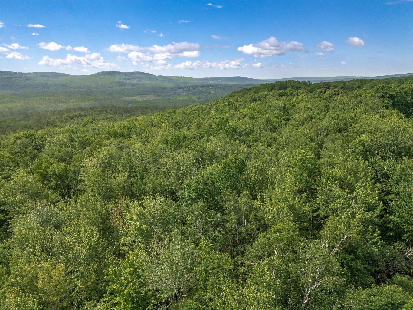 0 Appleton Ridge Road Appleton, ME 04862 - Photo 8 of 14 20240614011359433771000000-o