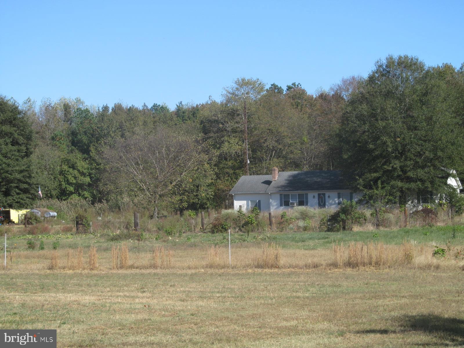 11365 Kittys Corner Road Cordova, MD 21625 - Photo 1 of 1 Gallery Image 1