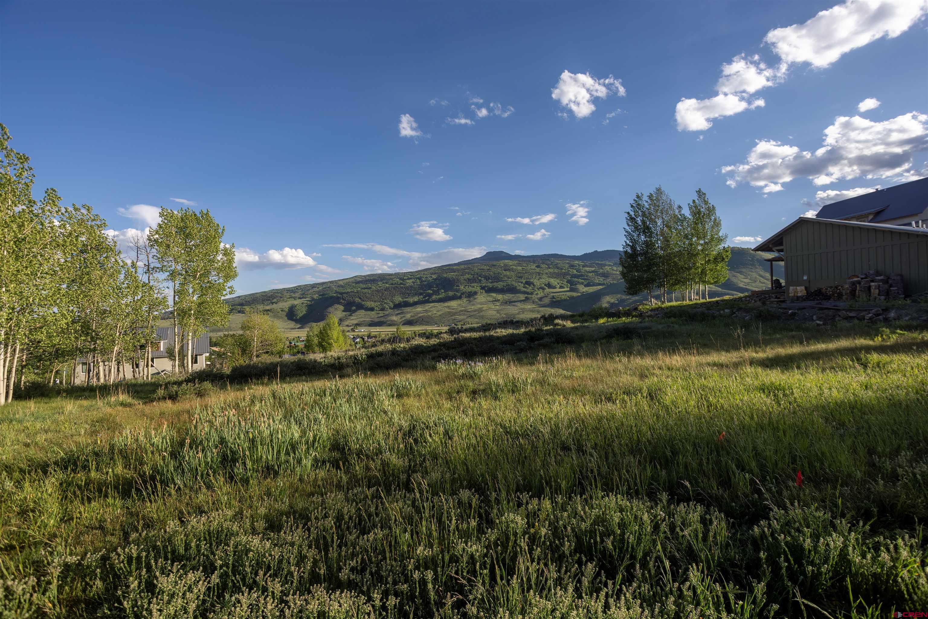 451 Zeligman Street Crested Butte, CO 81224 - Photo 3 of 10