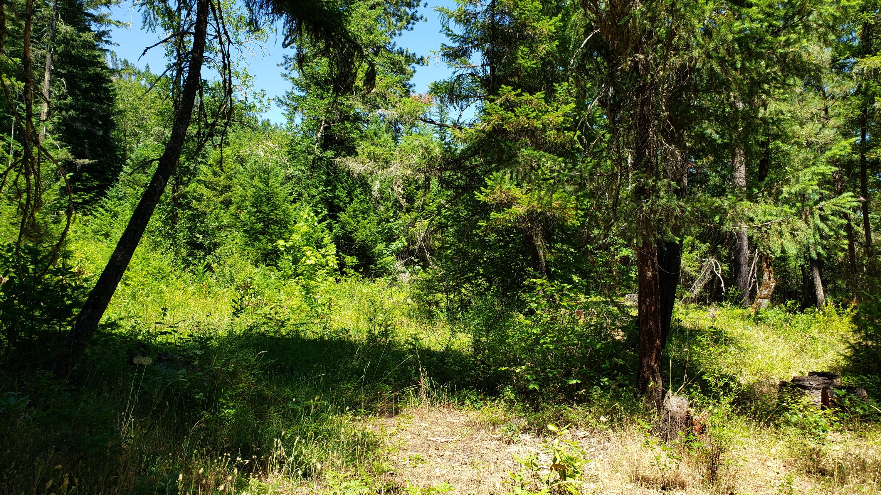 11241 Elk Creek Road Trail, OR 97541 - Photo 14 of 16 20230630_135152
