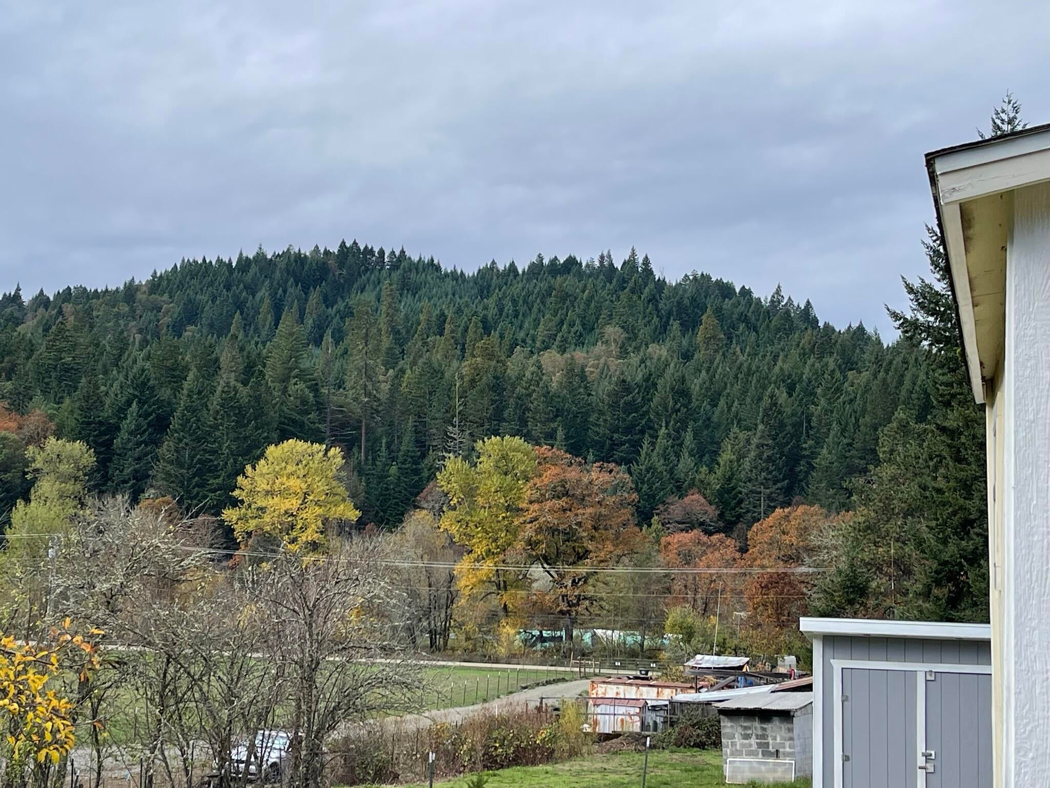 211 Humphrey Addition Road Glendale, OR 97442 - Photo 29 of 31 65765877358__FA9616B1-F706-44E2-8CA5-BB2