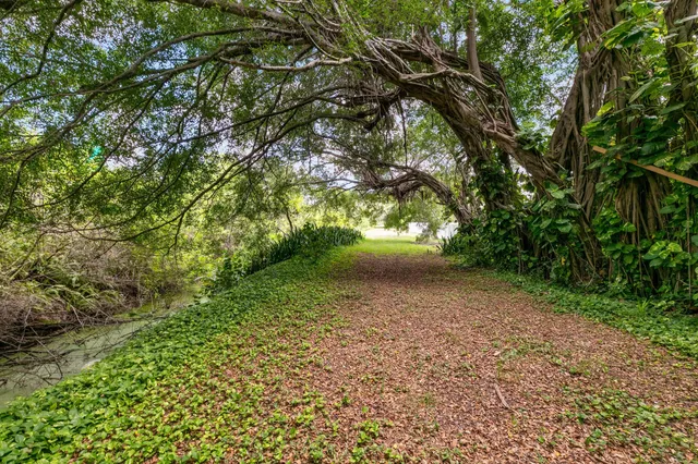 a view of outdoor space and trees