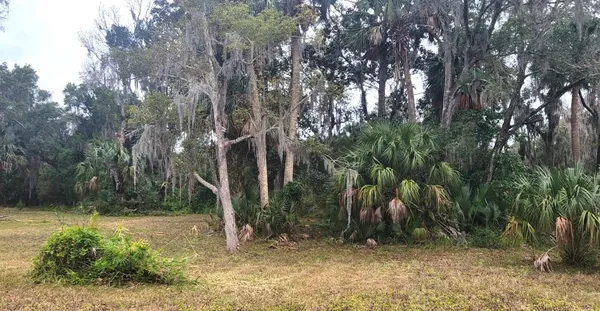 a backyard of a house with lots of green space