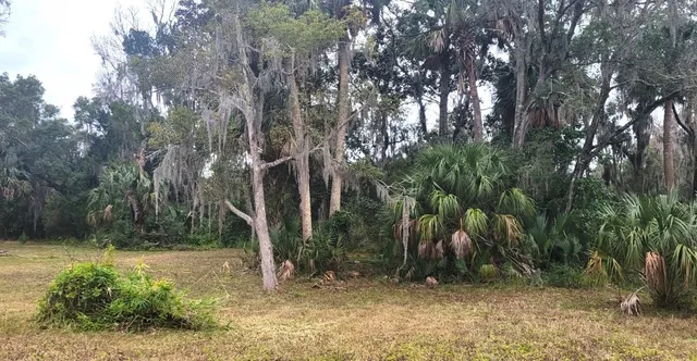 a backyard of a house with lots of green space