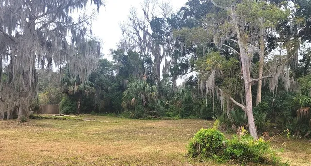 a view of a yard with trees
