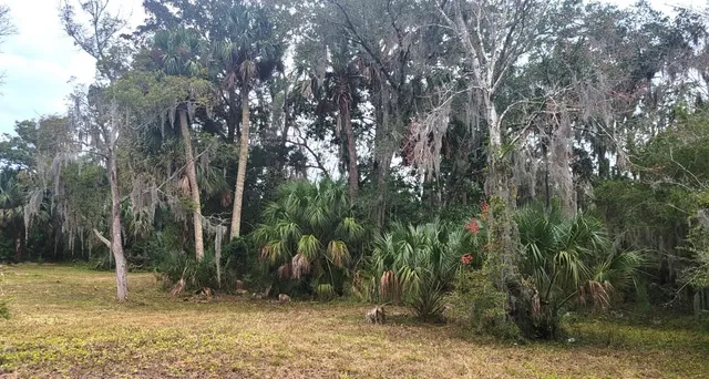 a view of outdoor space and tree