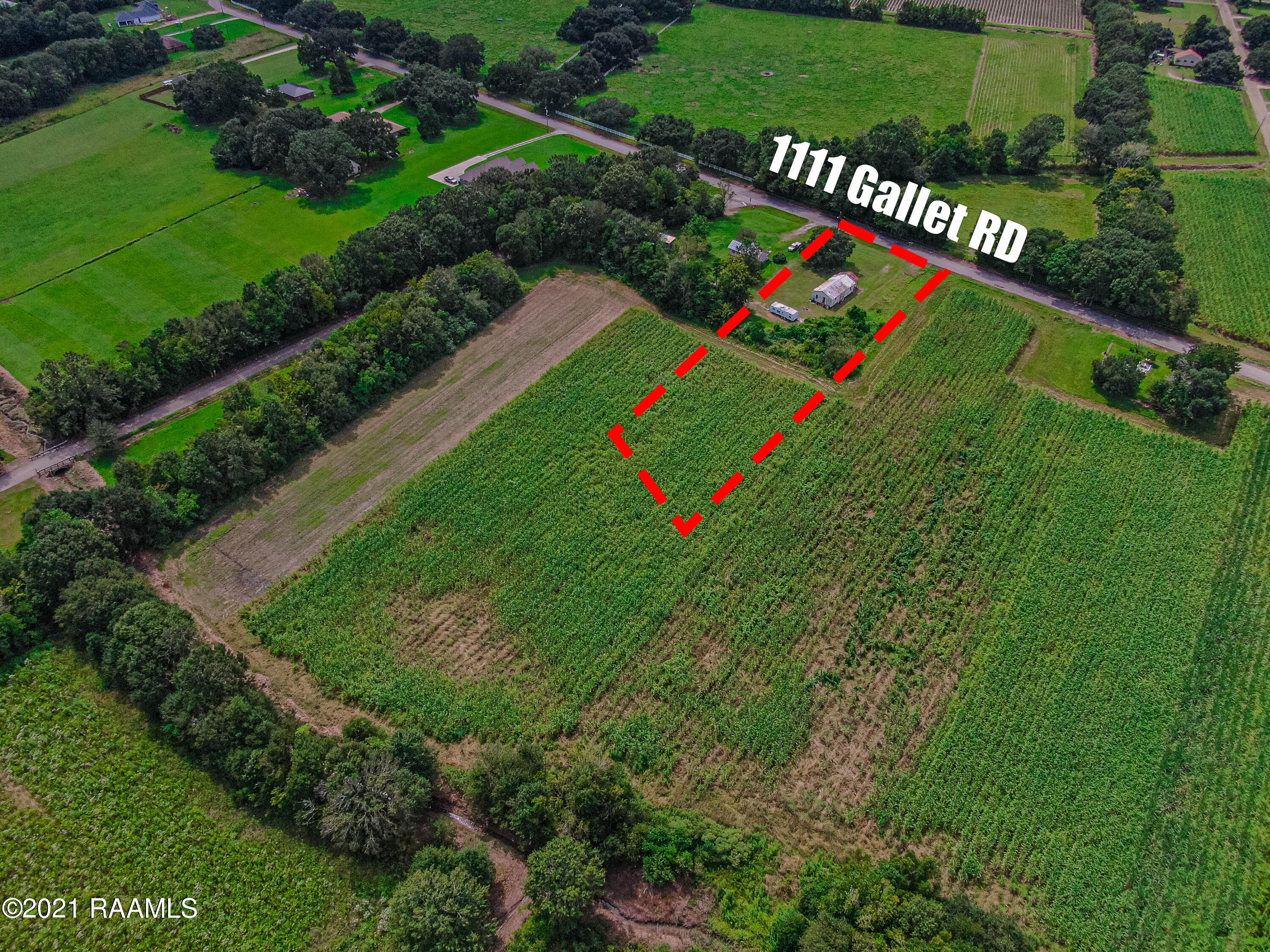1111 Gallet Road Youngsville, LA 70592 - Photo 4 of 5 1 (4 of 5)