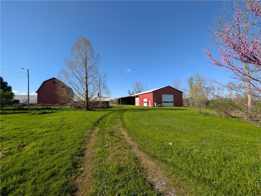 6548 Townline Road Byron, NY 14422 - Photo 3 of 33