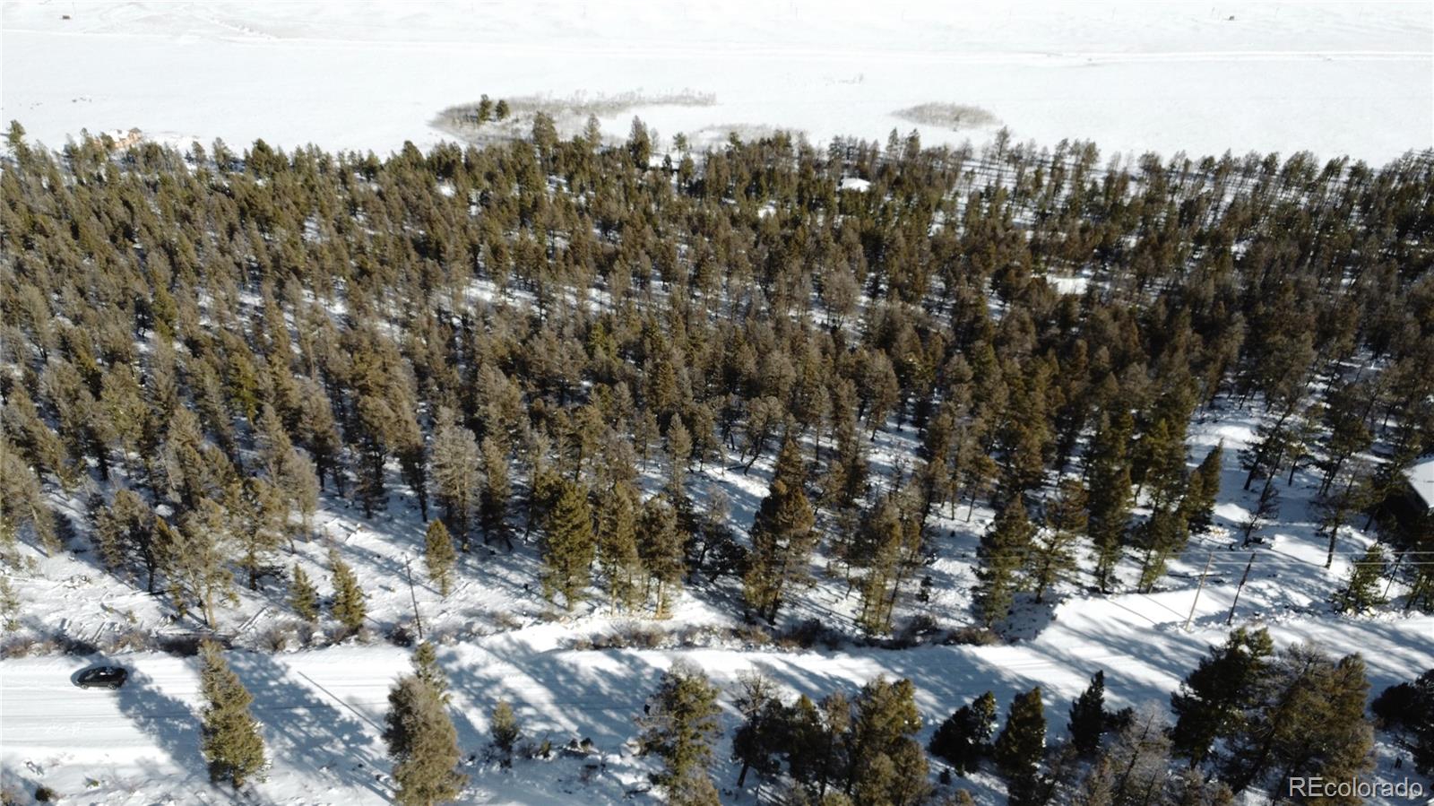 1396 Middle Fork Vista Fairplay, CO 80440 - Photo 1 of 16 a view of a city with lots of trees