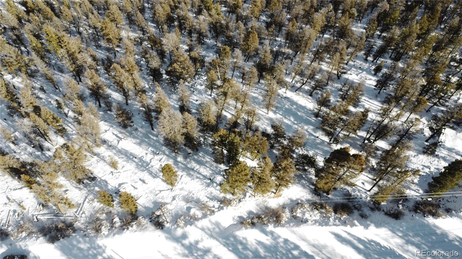 1396 Middle Fork Vista Fairplay, CO 80440 - Photo 12 of 16 a view of a tree