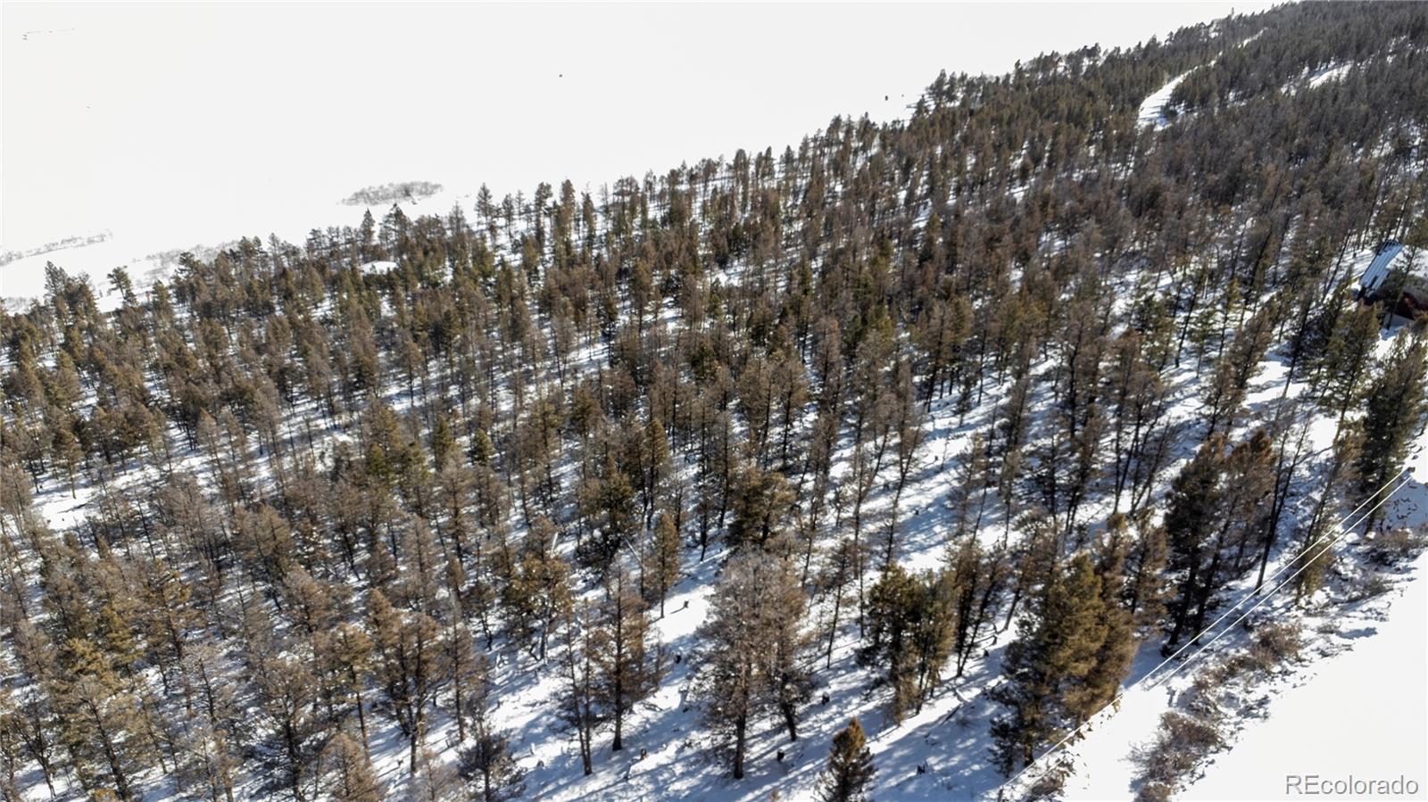 1396 Middle Fork Vista Fairplay, CO 80440 - Photo 14 of 16