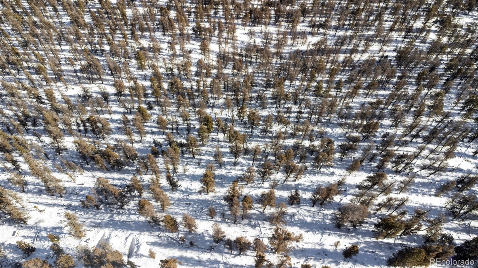 1396 Middle Fork Vista Fairplay, CO 80440 - Photo 15 of 16