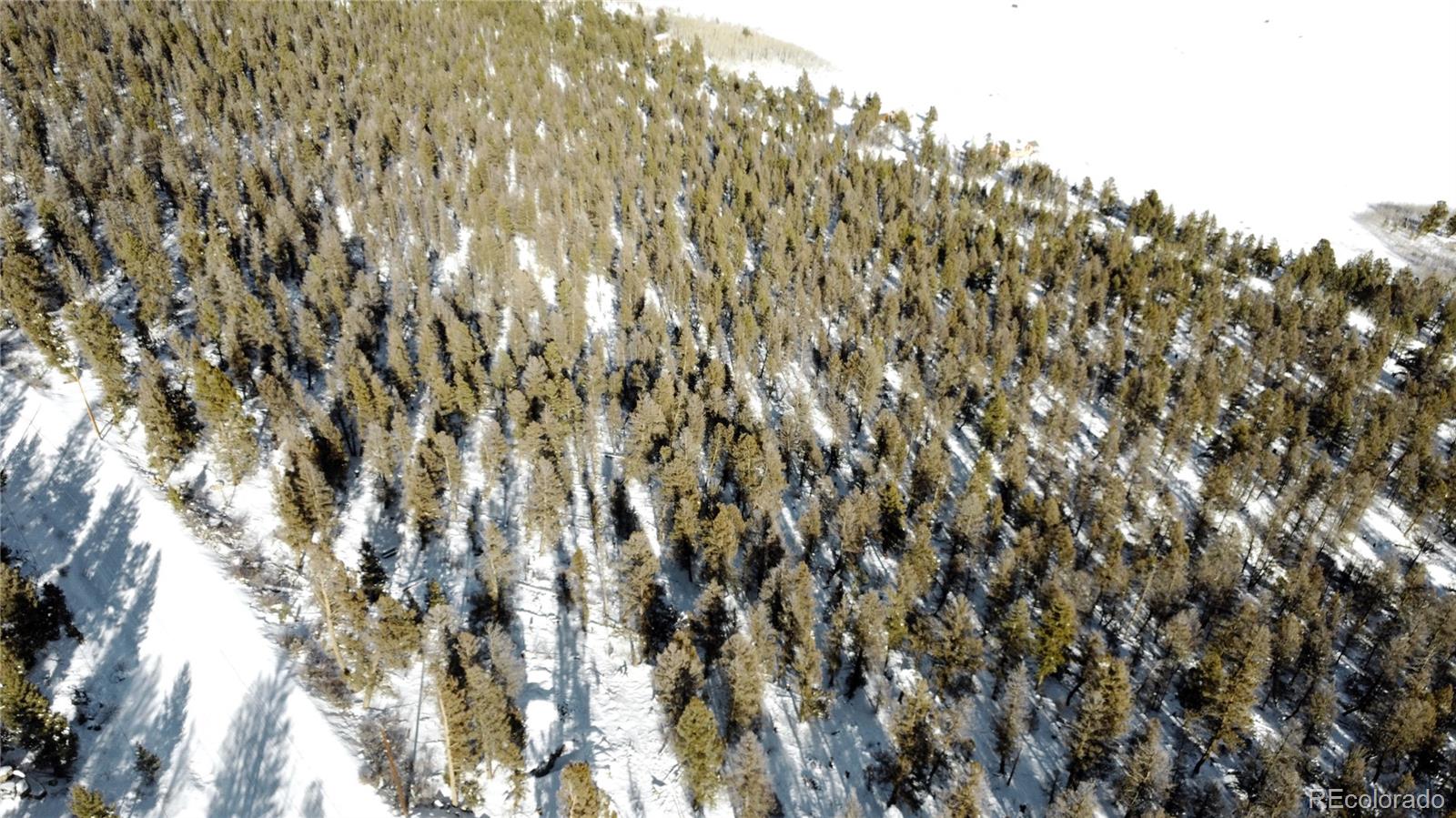 1396 Middle Fork Vista Fairplay, CO 80440 - Photo 4 of 16 a view of a tree