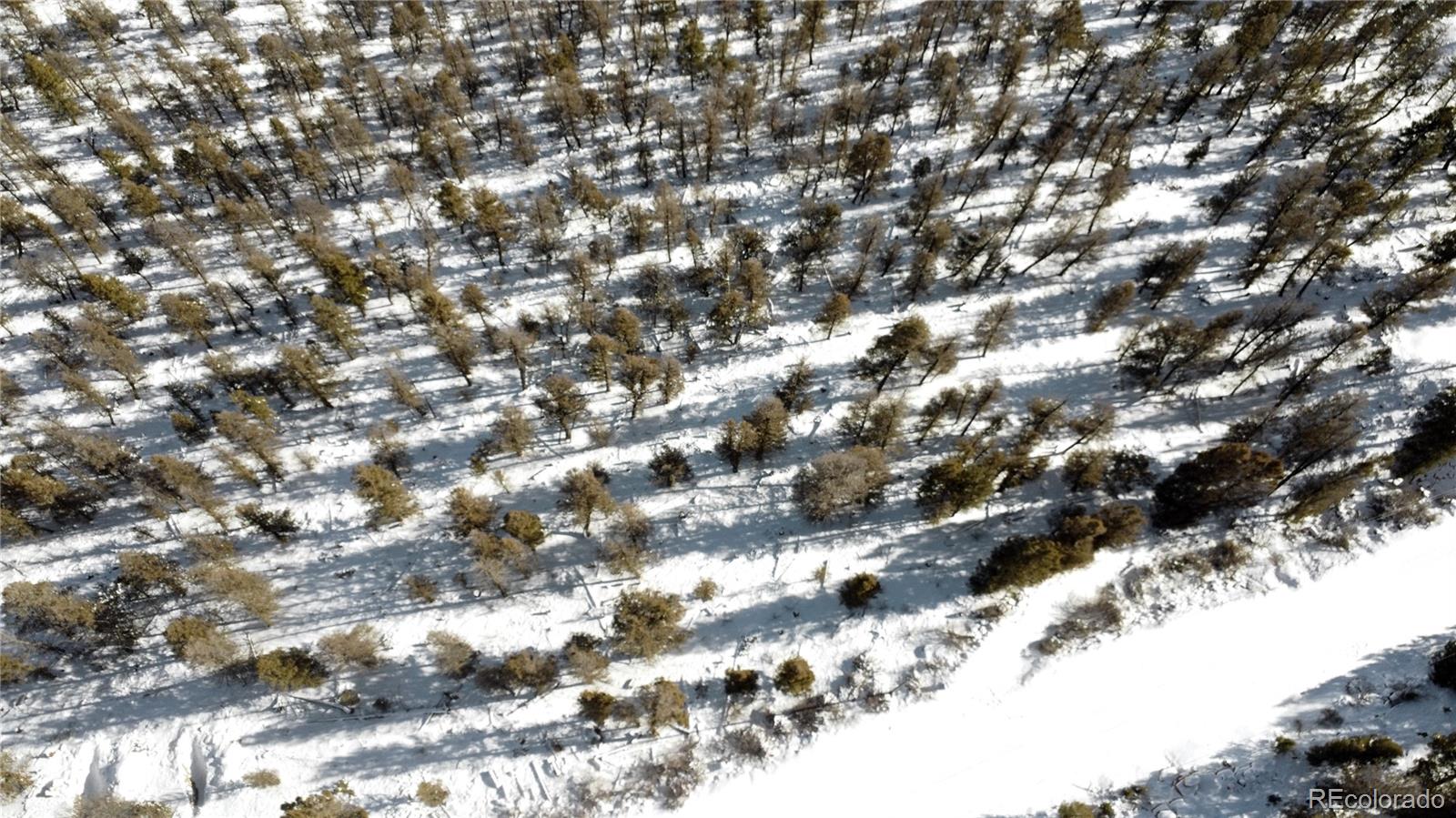 1396 Middle Fork Vista Fairplay, CO 80440 - Photo 5 of 16 a view of tree