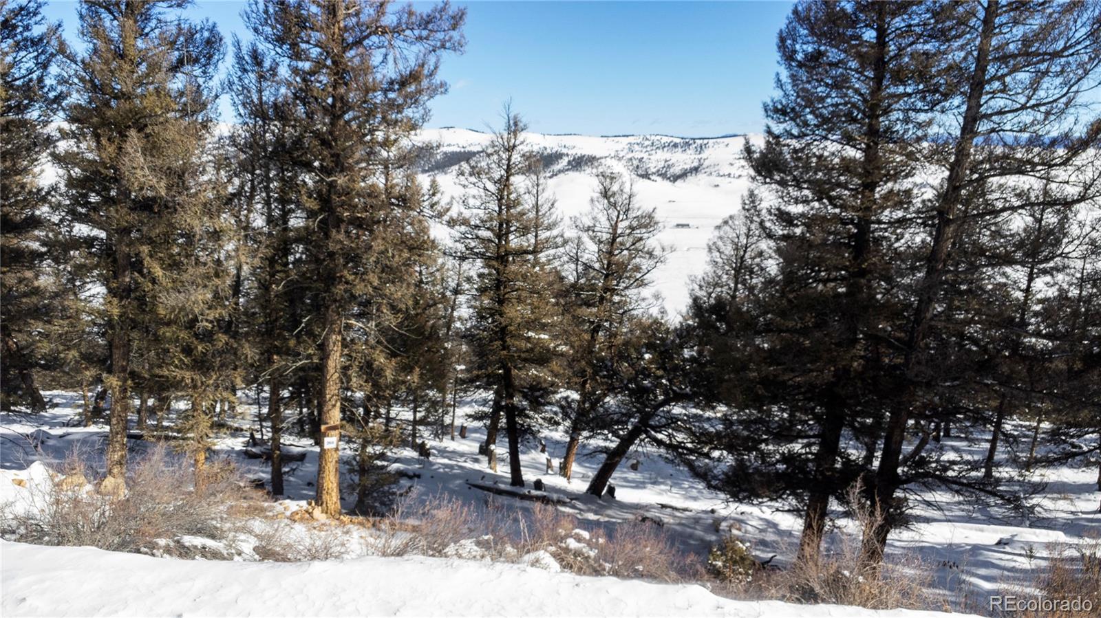 1396 Middle Fork Vista Fairplay, CO 80440 - Photo 6 of 16 a view of a outdoor space with wooden fence