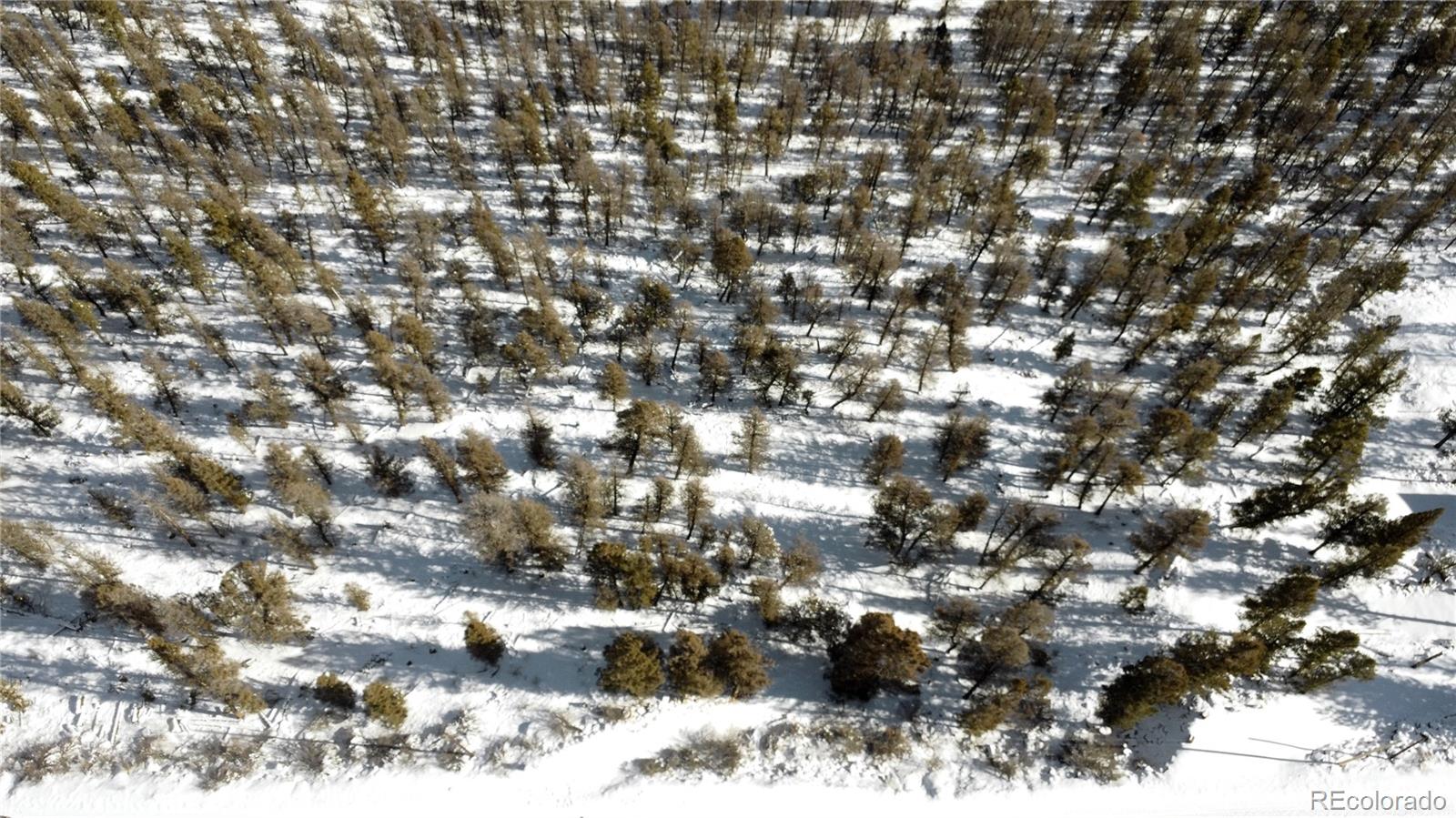 1396 Middle Fork Vista Fairplay, CO 80440 - Photo 8 of 16