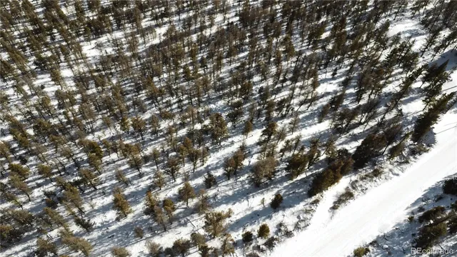 a view of covered with tall trees