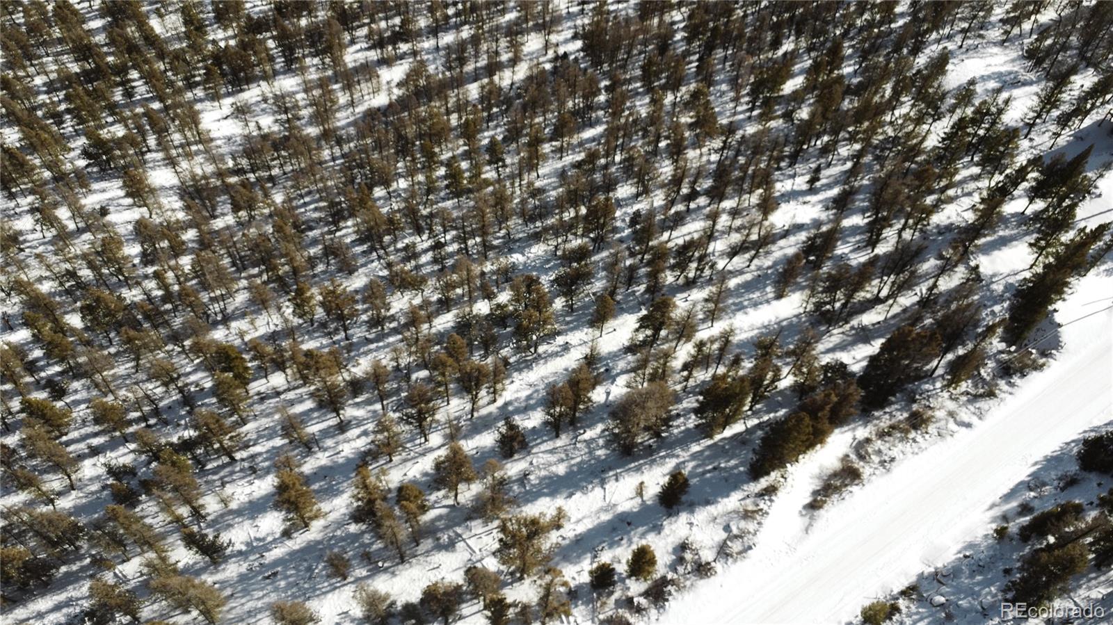 1396 Middle Fork Vista Fairplay, CO 80440 - Photo 9 of 16 a view of tree