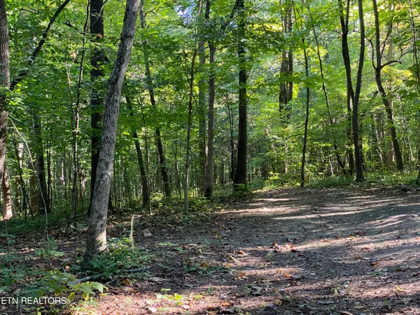 $219,900 | 0 Conner Road, Powell, TN 37849