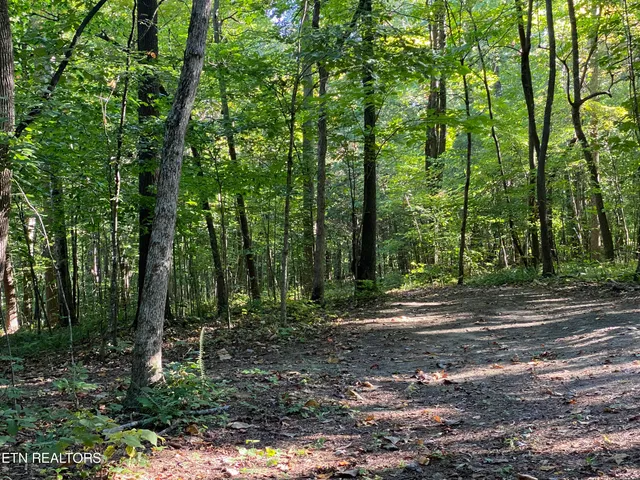 $219,900 | 0 Conner Road, Powell, TN 37849