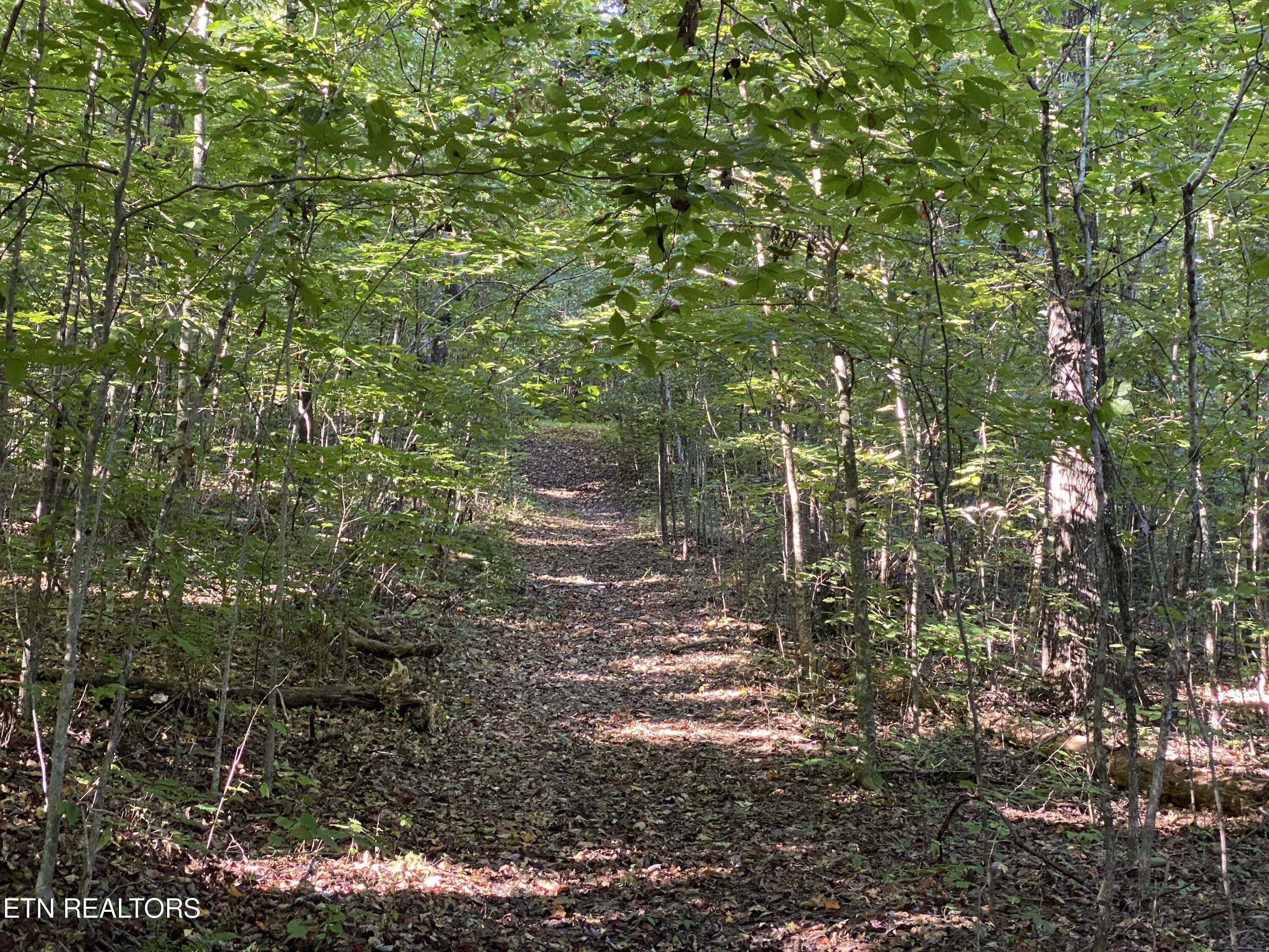 0 Conner Road Powell, TN 37849 - Photo 3 of 5 IMG_8677