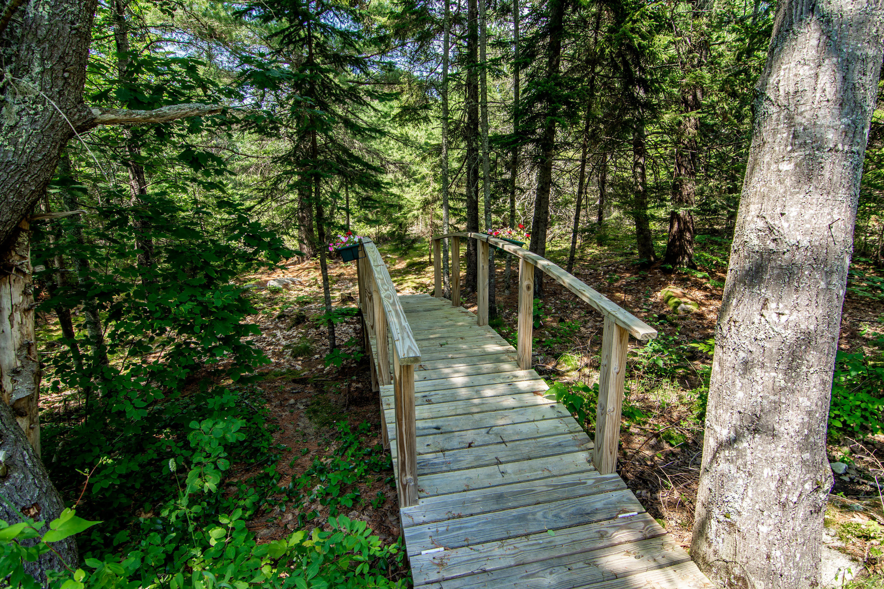 41 Byards Point Road Sargentville, ME 04673 - Photo 37 of 39 41 Byards Point Road Sedgwick-print-040-