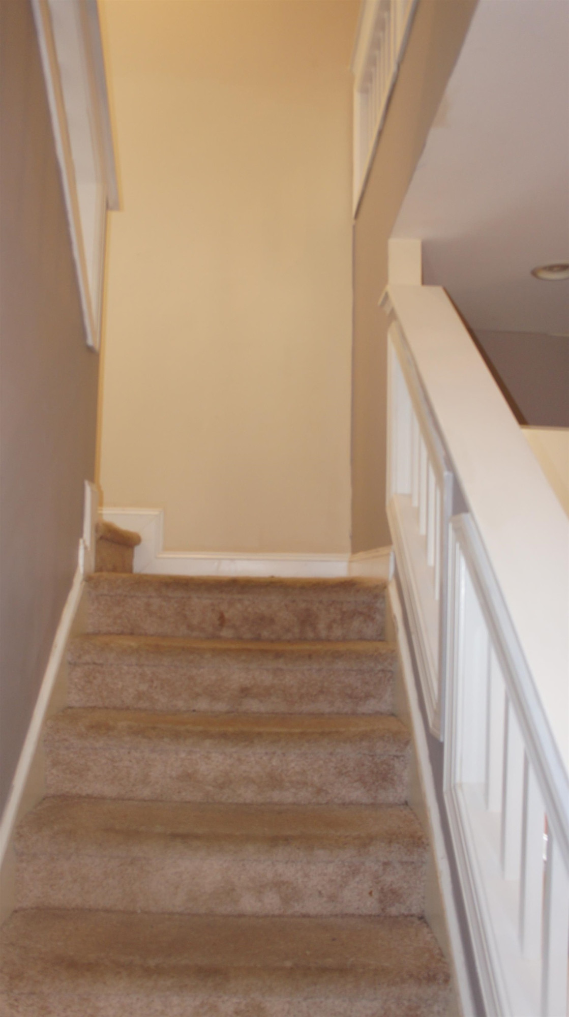 4417 Glengrove Road Raleigh, NC 27616 - Photo 28 of 48 Photo 29