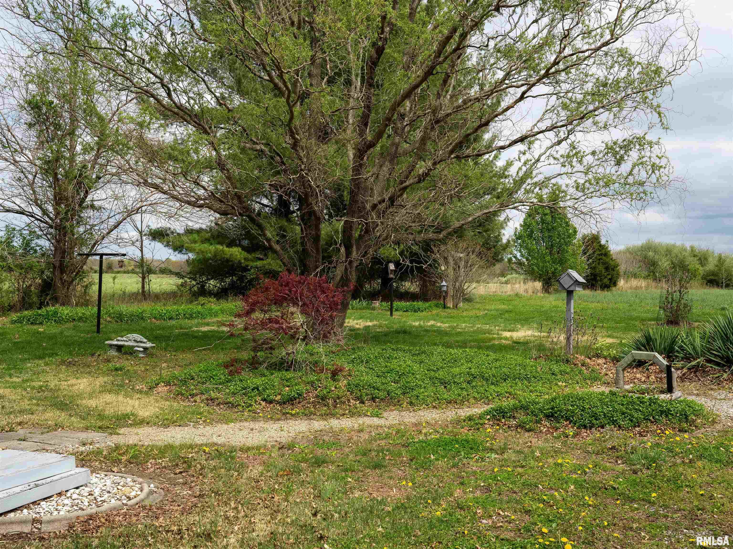 1 Willow Road De Soto, IL 62924 - Photo 11 of 46
