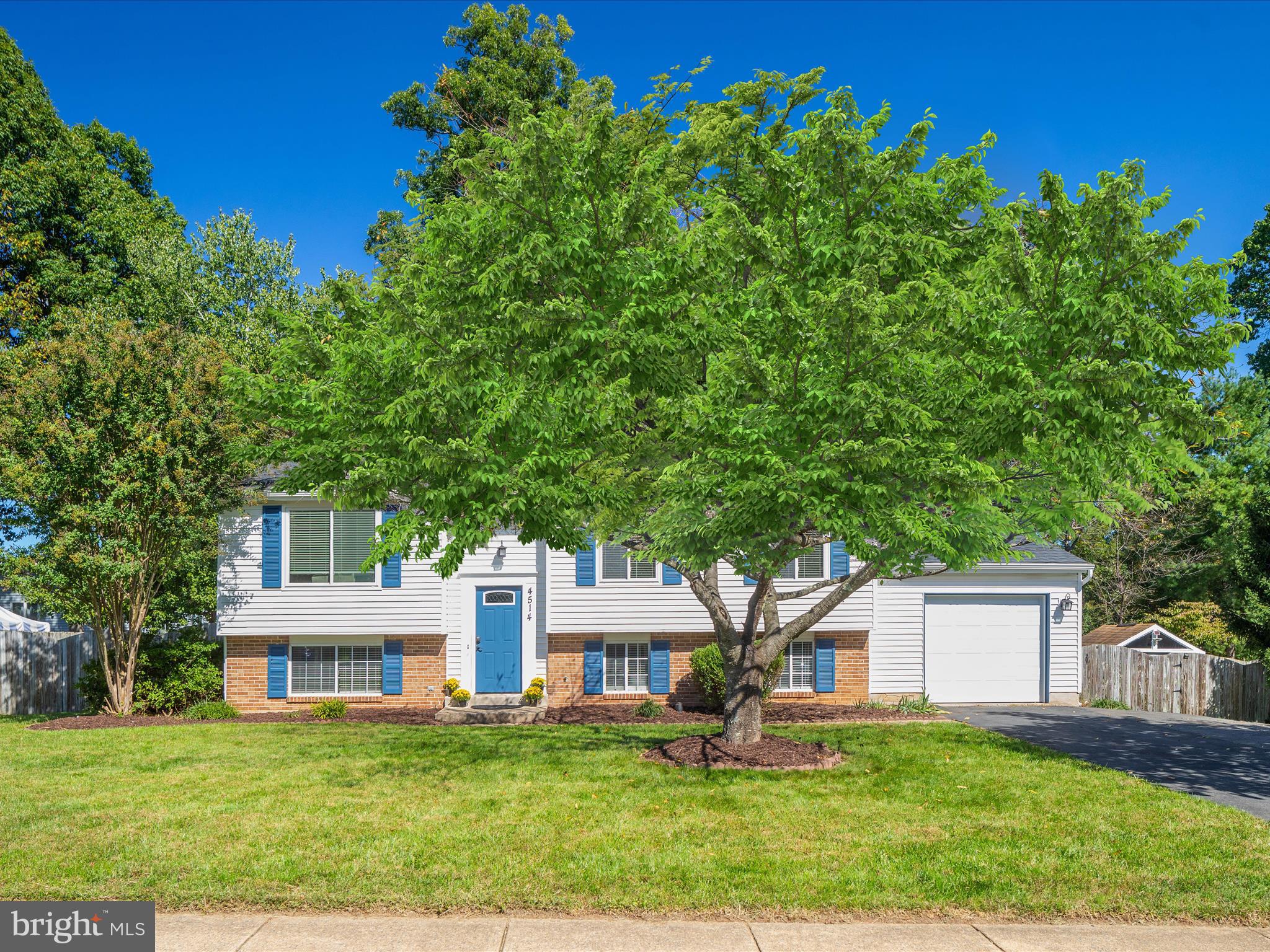Welcome Home! (Tree edited to show in season look)