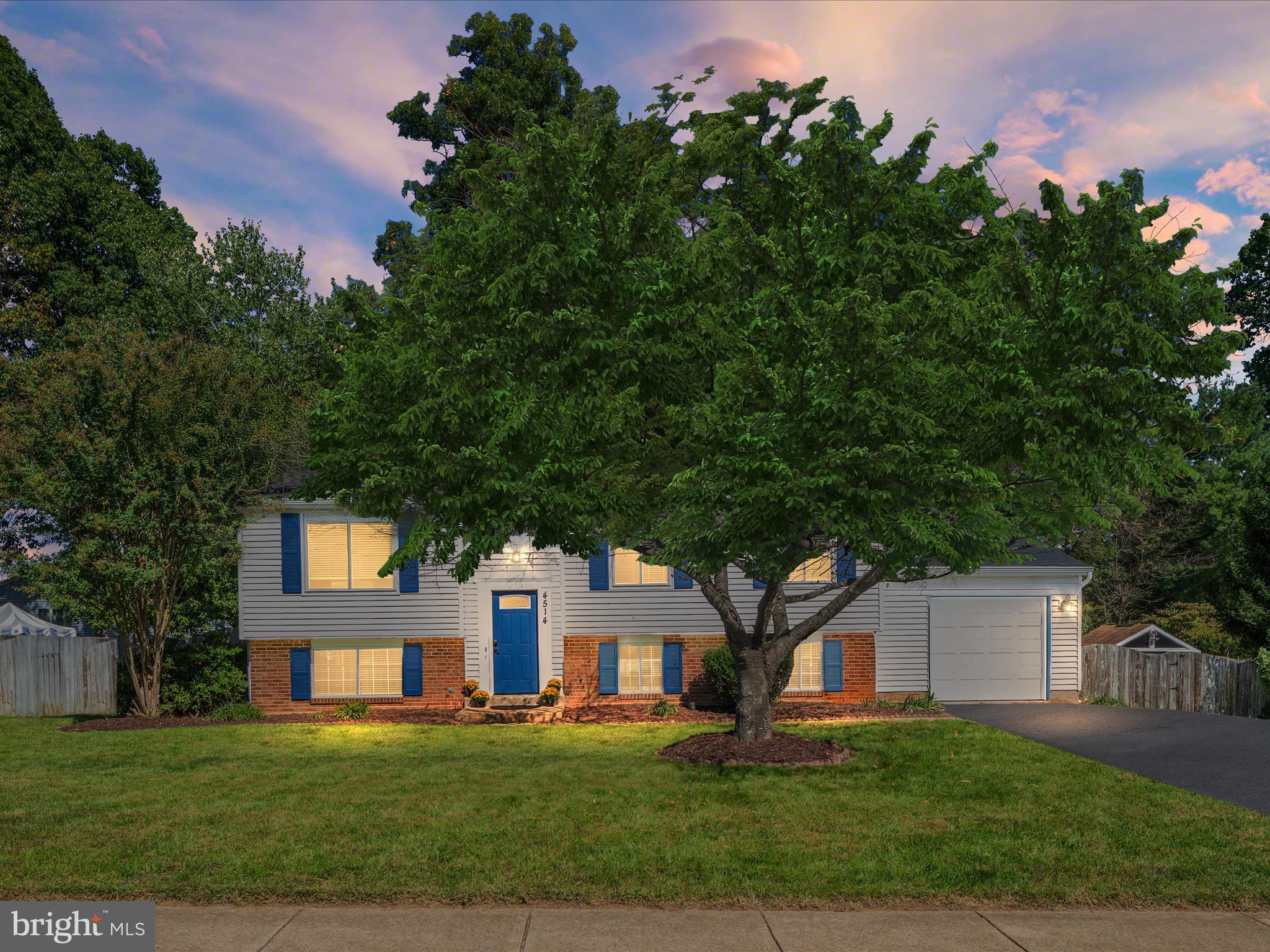4514 Cub Run Road Chantilly, VA 20151 - Photo 13 of 15 Goodnight! (Tree edited to show in season look)