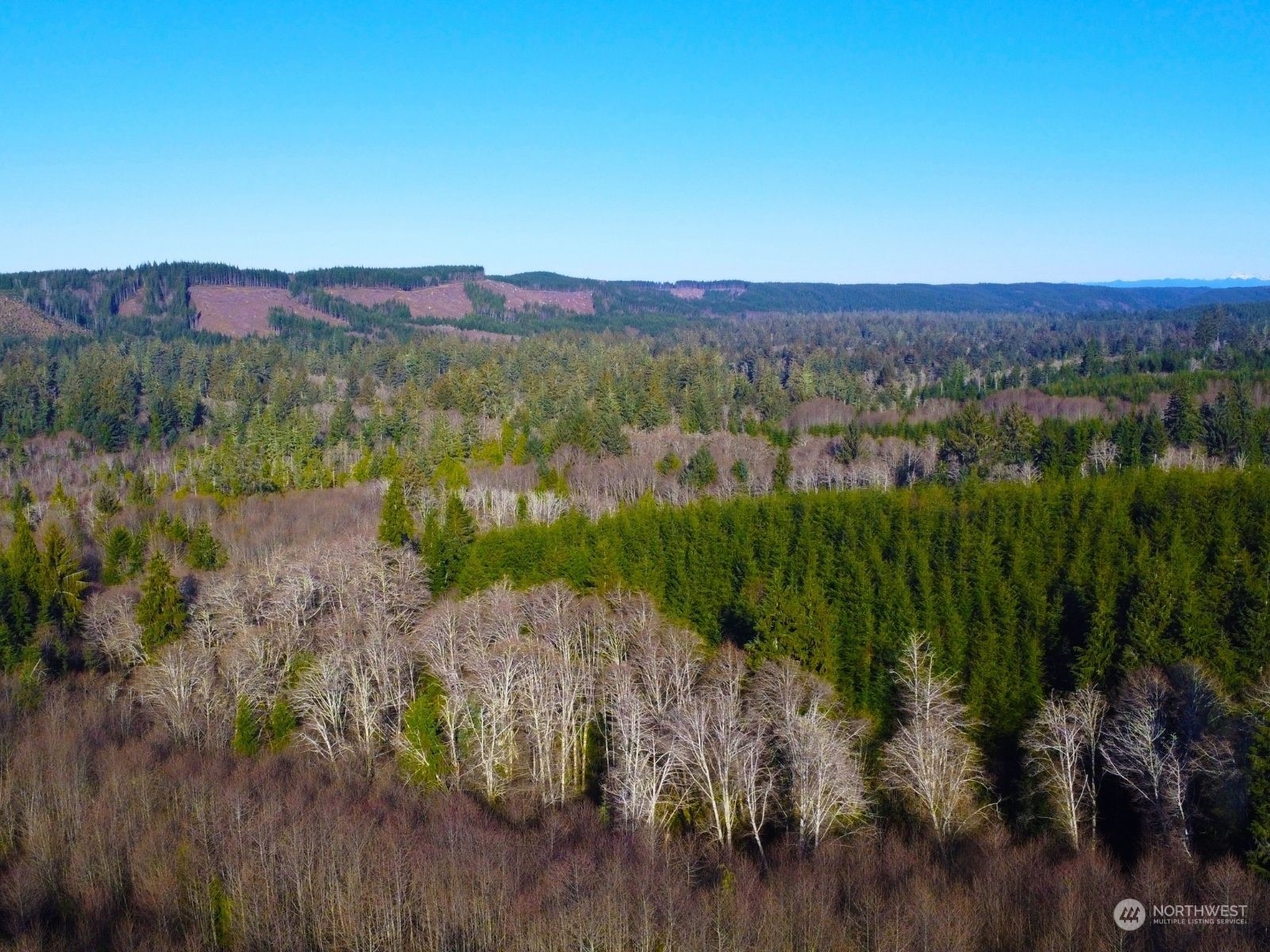 0 Sanderling Drive, Unit 1 Hoquiam, WA 98550 - Photo 15 of 15 a view of city and mountain
