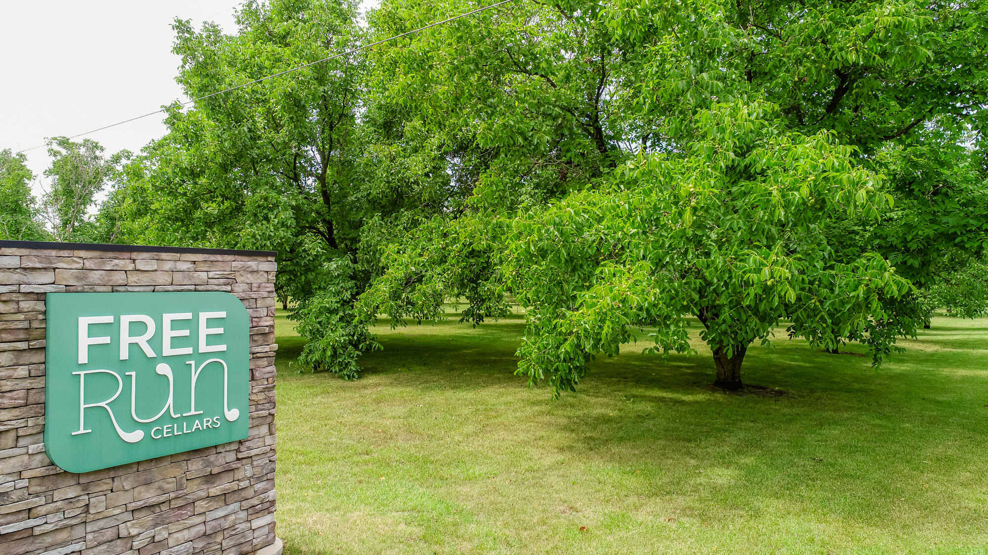 10062 Burgoyne Road Berrien Springs, MI 49103 - Photo 22 of 34 Burgoyne-201