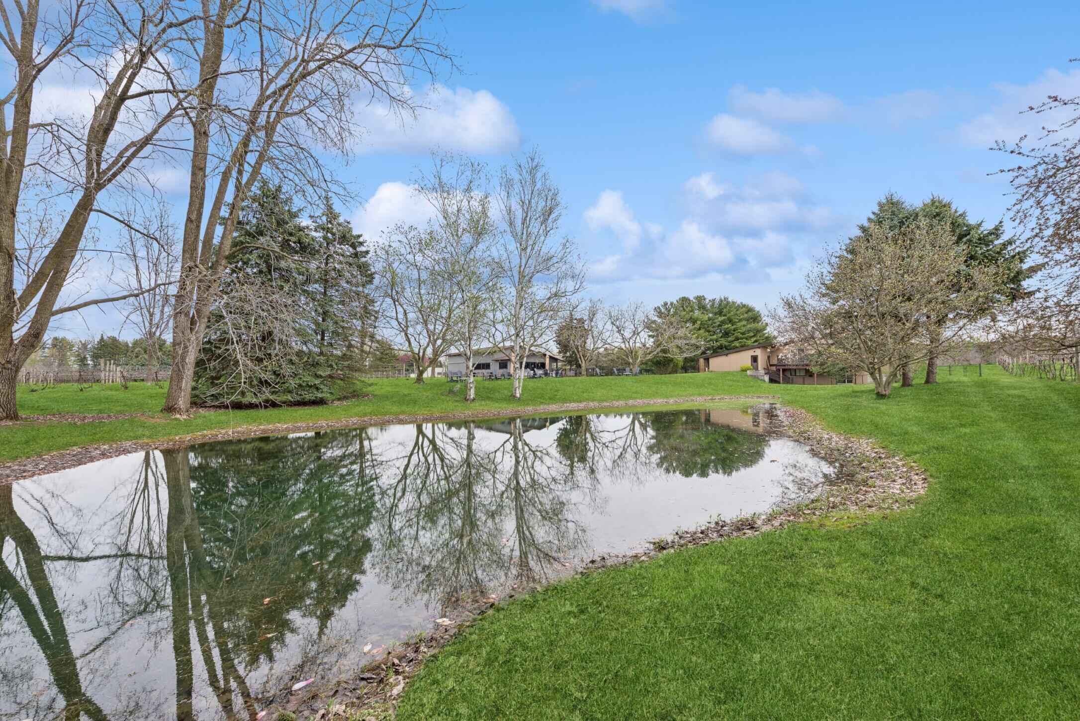 10062 Burgoyne Road Berrien Springs, MI 49103 - Photo 3 of 34 burg 4